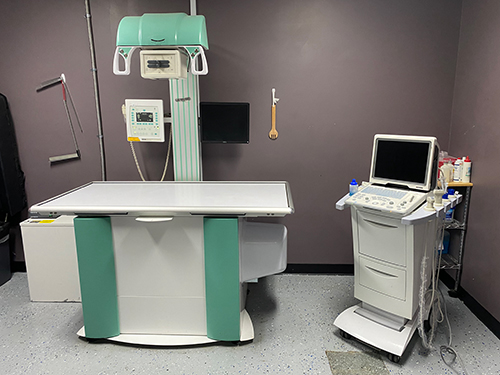 Covenant Animal Clinic Interior