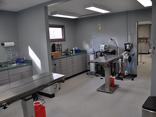 Covenant Animal Clinic Interior