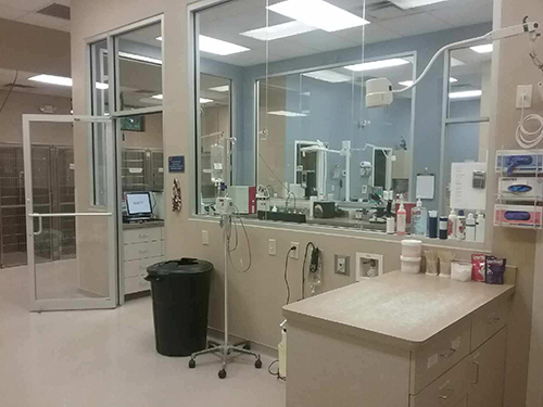 Covenant Animal Clinic Interior