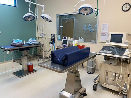 Covenant Animal Clinic Interior